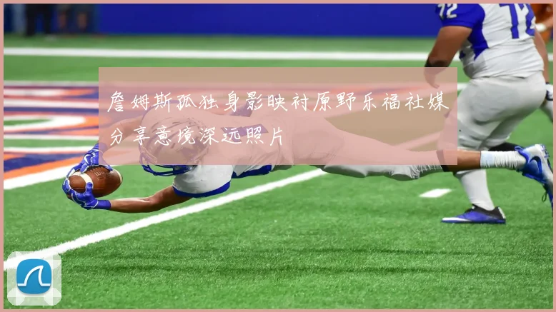 詹姆斯孤独身影映衬原野乐福社媒分享意境深远照片