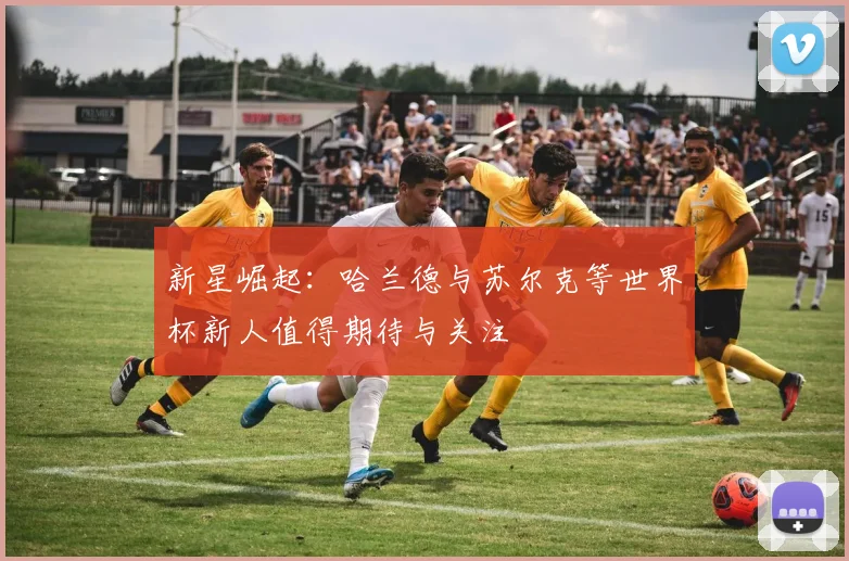 新星崛起：哈兰德与苏尔克等世界杯新人值得期待与关注